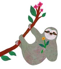 Sloth Hanging Around Sloth Art Bear Artwork Cute Sloth Pictures