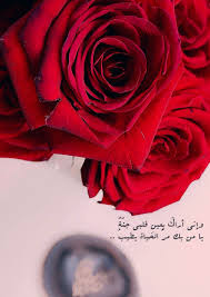 Pin By Courtney Kuphal On وردة حمراء Arabic Tattoo Quotes Phone Wallpaper Quotes Tattoo Quotes