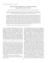 Image result for Pandiaka welwitschii