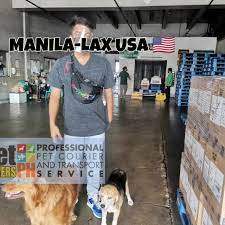 We did not find results for: Pet Movers Philippines Home Facebook