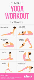 Stretches To Make Your Back Flexible Beginner Yoga Workout Yoga For Flexibility Yoga For Beginners