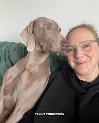 Here's something else we talked about in Monday's masterclass that hit a  nerve for a lot of people- your energy is your most valuable tool as a dog  trainer. You can know