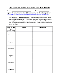We did not find results for: Fillable Online The Cell Cycle In Plant And Animal Cells Web Activity Fax Email Print Pdffiller