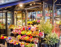 Check spelling or type a new query. Here Is All You Need To Know About Before Searching For Flowers Shop Near Me Determine Soul Is Unshakable
