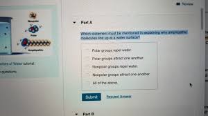 Simscience - Amphiphiles As Surfactants (Red Level)