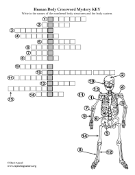 This page word/pdf version answer key. Body Structures Crossword Puzzle Skeletal System