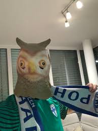 Born 24 november 1989) is a finnish footballer who plays as a goalkeeper for bayer leverkusen and the finland national team. Lukas Hradecky On Twitter Let S Fucking Go Huuhkajat Oisuomion Https T Co Xmbpffdqut Twitter