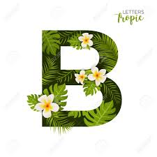 Decorative frame elements set free vector. Exotic Tropical Alphabet Letter B Floral Font Letter With Palm Royalty Free Cliparts Vectors And Stock Illustration Image 99945239