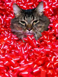 Christmas tree with cardboard sheet and newspaper cuttings. This Cat These Bows Beautiful World Day 358 Christmas Cats Cat Christmas Cards Christmas Animals