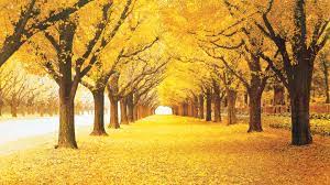 属马人的名字中若带这些“字”，则一生衣食无忧，大富大贵！_工作