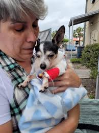 Can't believe you have been gone 5 years my best buddy 😢 I always think  about you and miss you ❤️ Lucy is with you this year 🥲🌈❤️ You would have  loved