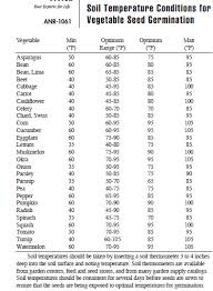 Best Time To Plant Vegetable Seeds In Star Valley Star