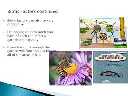 We did not find results for: By Ken And Dan The Garden Ecosystem Has Three Key Components To It Producers Consumers Decomposers Ppt Download