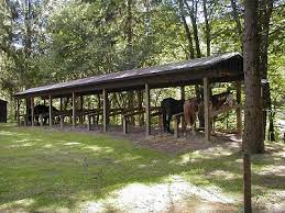 Maybe you would like to learn more about one of these? Bear Spring Mountain Campground Day Use Area Nys Dept Of Environmental Conservation