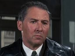 Would you describe Colonels Radl and Steiner as good Germans ?