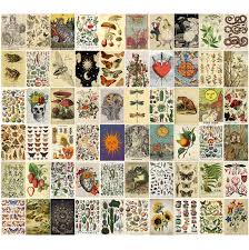 Ever wondered what types of aesthetics are and how can you find and style yours? Amazon Com 60pcs Vintage Posters For Room Aesthetic Vintage Botanical Illustration Tarot Aesthetic Pictures Wall Collage Kit Bedroom Decor For Teens Boys Girls Room Decor Aesthetic Cottagecore Decor Home Kitchen