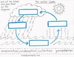 Rockabye Butterfly The Water Cycle Lesson Plan Water Cycle Lessons Water Cycle Science Lessons