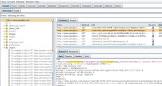 What is Burp Suite Professional