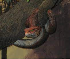 It was not the serpent speaking that should have alarmed them. Was The Snake In The Garden Of Eden Satan Huffpost