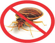 For over 20 years, our pest control professionals have been eliminating pests from buildings throughout the missoula & kalispell area. Bed Bugs Orlando Bed Bug Heat Treatment Rental In Orlando Fl Bed Bugs Florida Affordable Bed Bug Heater Rentals Tampa West Palm Beach Orlando Sw Florida