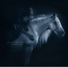 Breathtaking Pferd Und Reiter Pferde Pferd