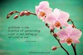 Quote Motivation Love Life Inspiration Flower Quotes Inspirational Flower Quotes Daily Quotes