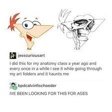 Haunted By Phineas S Skull Phineas And Ferb Sketchbook Anatomy Class Funnypictureshumor Phineas And Ferb Funny Memes Tumblr Funny