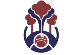 Kevin de bruyne genomineerd voor speler van het jaar in engeland, maar de concurrentie is fors. Logo Nieuwe Voetbalvereniging Woander Forest Onthuld De Limburger Mobile