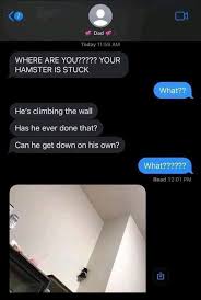 I would be crying 🤣