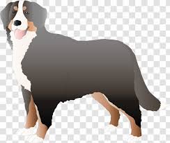 We did not find results for: Bernese Mountain Dog Entlebucher Drawing Clip Art Like Mammal Transparent Png
