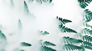 Download and use 100,000+ white background stock photos for free. 12 Simple Nature Desktop Wallpaper Venera Wallpaper