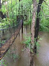 This Canopy Walk In South Carolina Will Make Your Stomach Drop In 2020 South Carolina Travel South Carolina Vacation South Carolina Beaches