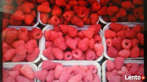 Польша сбор малины 2018