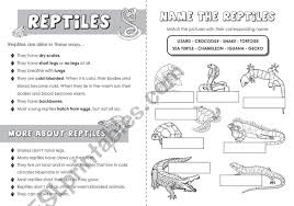 Reptiles Esl Worksheet By Jazchulinchu In 2020 Reptiles Animals That Hibernate Comprehension Exercises