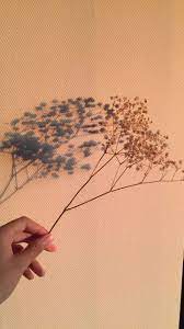  Pin By Individuum On Iphone Wallpaper Tumblr Aesthetic Aesthetic Pastel Wallpaper Aesthetic Backgrounds