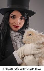 Hat Magician Rabbit: Over 1,137 Royalty-Free Licensable Stock Photos