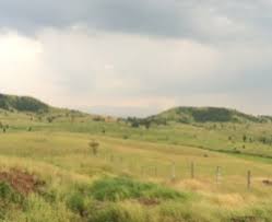 Lands of america property id: 50 Acres Agriculture Land For Sale At Rs 600000 Unit à¤à¤— à¤° à¤•à¤² à¤šà¤° à¤² à¤¡ à¤¸ à¤² à¤• à¤· à¤­ à¤® à¤¬ à¤• à¤° Available For Sale Maharashtra Lands Thane Id 9281177148