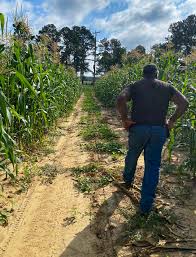 Selling Out the Delta