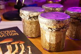 Grow crew 1/8 inch ratchet light hanger (pair). Pf Tek Mediamatic