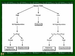 Evaluation Of A Thyroid Nodule