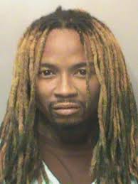 Police: Officer feared brother would be hit by fleeing car