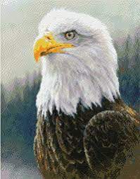 We did not find results for: Kustom Krafts Bald Eagle Cross Stitch Pattern 123stitch