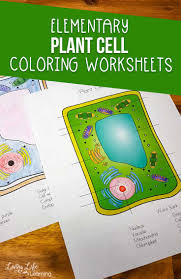 We did not find results for: Plant Cell Coloring Worksheet