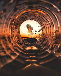 Pin On Amazing Photography