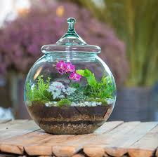 Created by two friends, dawn and wanda, our passion is designing with flowers. Bubble Tropical Terrariums Starting At Atlanta Florist Le Jardin Francais Flower Delivery Atlanta Ga 30318