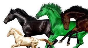 On old town road, lil nas x romanticizes the life of a cowboy. Lil Nas X S Old Town Road Remix Has Young Thug Yodeling Walmart Kid