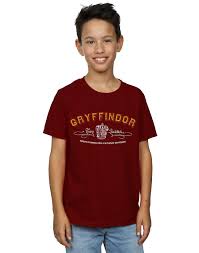 Maybe you would like to learn more about one of these? Harry Potter Jungen Gryffindor Team Quidditch T Shirt Fruugo Lu