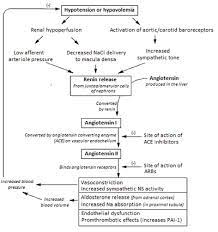 Renin Angiotensin System Wikipedia The Free Encyclopedia Renin Angiotensin Aldosterone System Anatomy And Physiology Icu Nursing