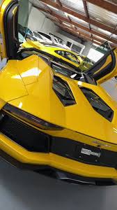 Image result for Yellow 2020 Fleet