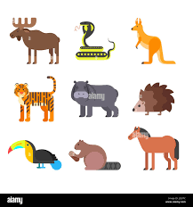 Vector flat style set of animals. Hedgehog, tiger, snake. Icon for web.  Isolated on white background Stock Vector Image & Art - Alamy